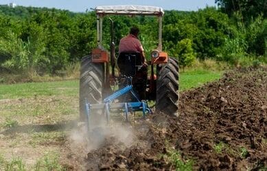 تأثير انضغاط التربة على نمو الجذور ودور الهرمونات النباتية.